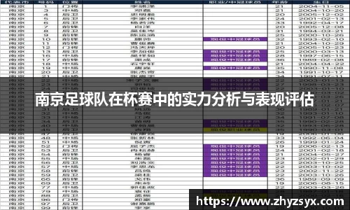 南京足球队在杯赛中的实力分析与表现评估